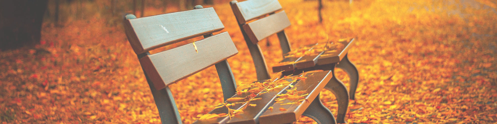 herbst-sale-banner-2025